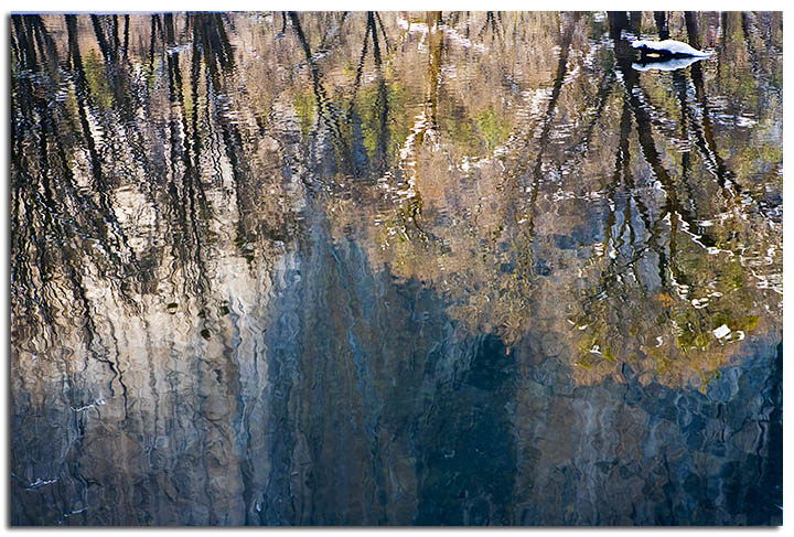 Painted Reflections 